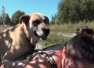 Awesome dog enjoys filthy banging