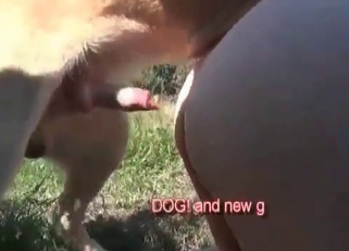 Awesome dog enjoys filthy banging