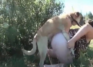 Awesome dog enjoys filthy banging
