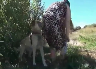Awesome dog enjoys filthy banging