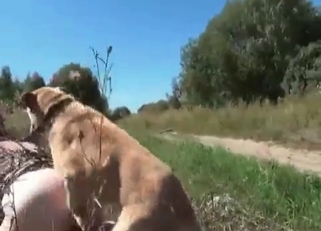 Awesome dog enjoys filthy banging