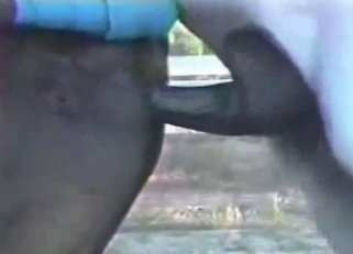 Crazy sex of two amazing stallions