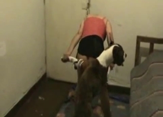 Trained doggy knows how to fuck her hole