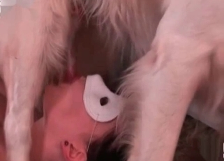 Masked doll zoofil sucks her trained doggy