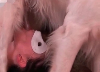 Masked doll zoofil sucks her trained doggy