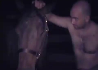 Playing with a tight anal hole of a hot horse