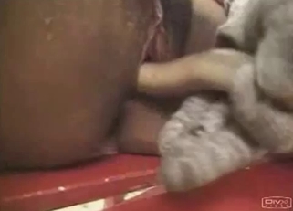 Crazy exotic bestiality sex in Asia