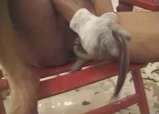 Crazy exotic bestiality sex in Asia