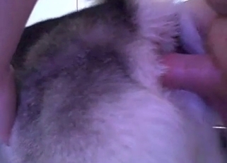 Fucking my amazing doggy from behind