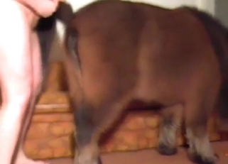 Cumming on the hairs of a hot stallion