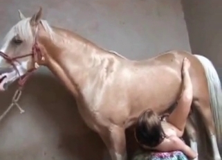 Hardcore sex with gigantic stallion dick
