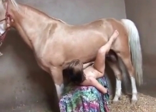Hardcore sex with gigantic stallion dick