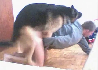 Trained shepherd fucked his tight bottom