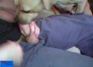 Smiling doggy is licking my hard dick