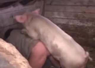 Filthy wild pig fucked her wet cunt