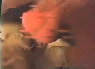 Dude fucked his sheep in doggy style