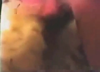 Dude fucked his sheep in doggy style