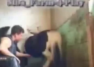 Farm slut gives her pony a blowjob