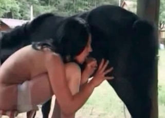 Brunette in stockings sucks a pony boner