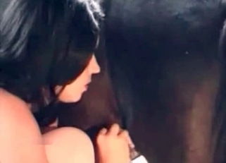 Brunette in stockings sucks a pony boner