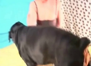 Sexy black dog hardly penetrated her cunt