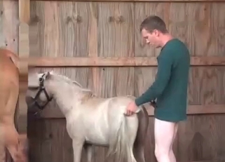 Small white pony nicely fucked in doggy style