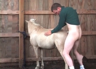 Small white pony nicely fucked in doggy style