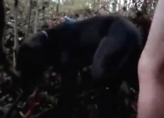 Sexy chick sucks a huge doggy dick