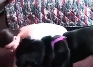 Black dog and nice hottie have bestiality