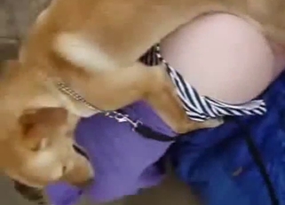 Big-ass babe gets fucked by animal