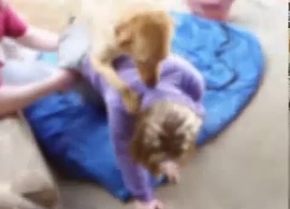 Big-ass babe gets fucked by animal