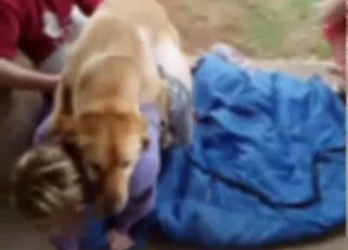 Big-ass babe gets fucked by animal