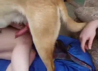 Big-ass babe gets fucked by animal