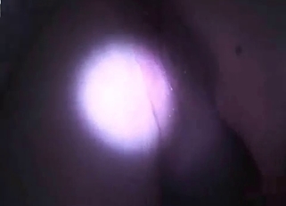 Good trained labrador licked a hot pussy