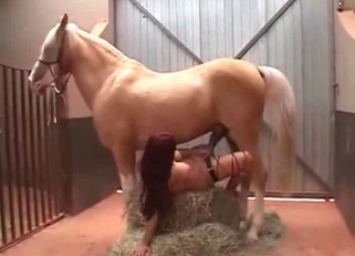 Stunning stallion cums a massive creampie
