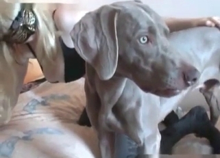 Beautiful black dog and astonishing hottie