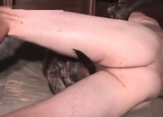 Perfect amateur bestiality XXX with my dog