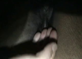 Playing with a nice brown stallion on cam