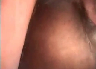 Sweet stallion ass looks so sweet