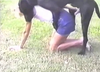 Filthy dog sex action with nice doberman