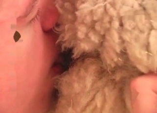 Licking tight anal hole of my awesome dog