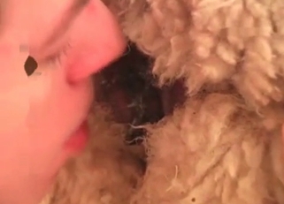 Licking tight anal hole of my awesome dog