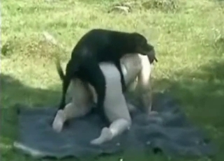 Dark dog and BBW in amazing bestiality XXX