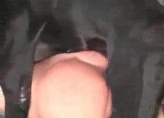 Trained dog fucked her wet cunt
