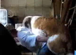 Big doggy impaled dude's ass from behind