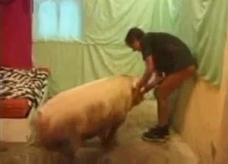 Dog cock is perfect for that pussy