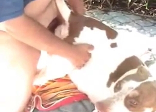 Bestiality fuck-fest to blow your mind