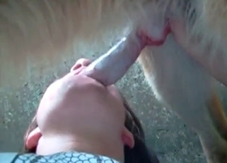 Brunette enjoys sloppy blowjobs