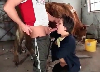 Dark-haired chick is sucking farm animal
