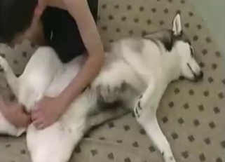Fucking my white doggy in the missionary pose